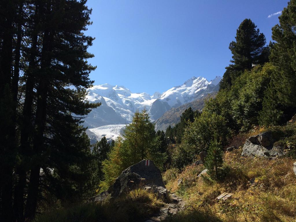 Hotel Bernina ปอนเตรสซีนา ภายนอก รูปภาพ